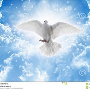 Meet your Posher, Maritza